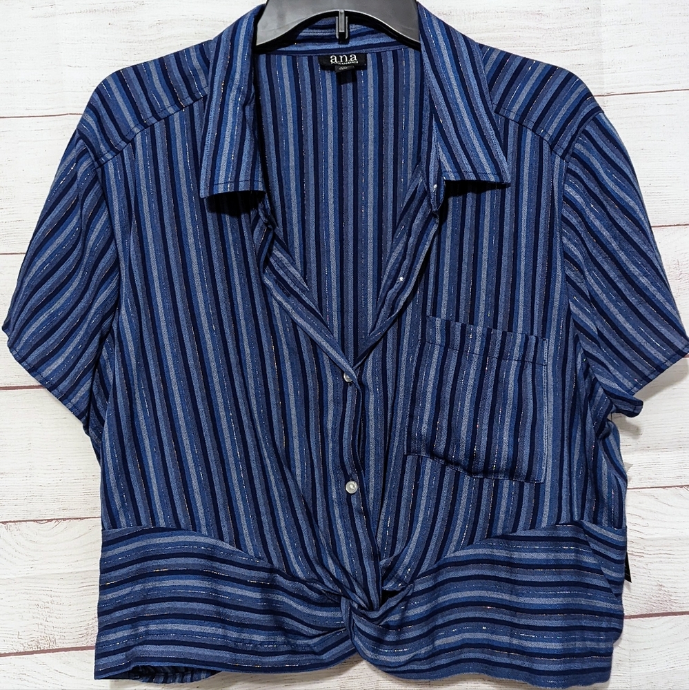 Blue Sparkly Stripe Crop Top from a.n.a